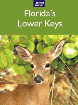 cover image of Florida's Lower Keys